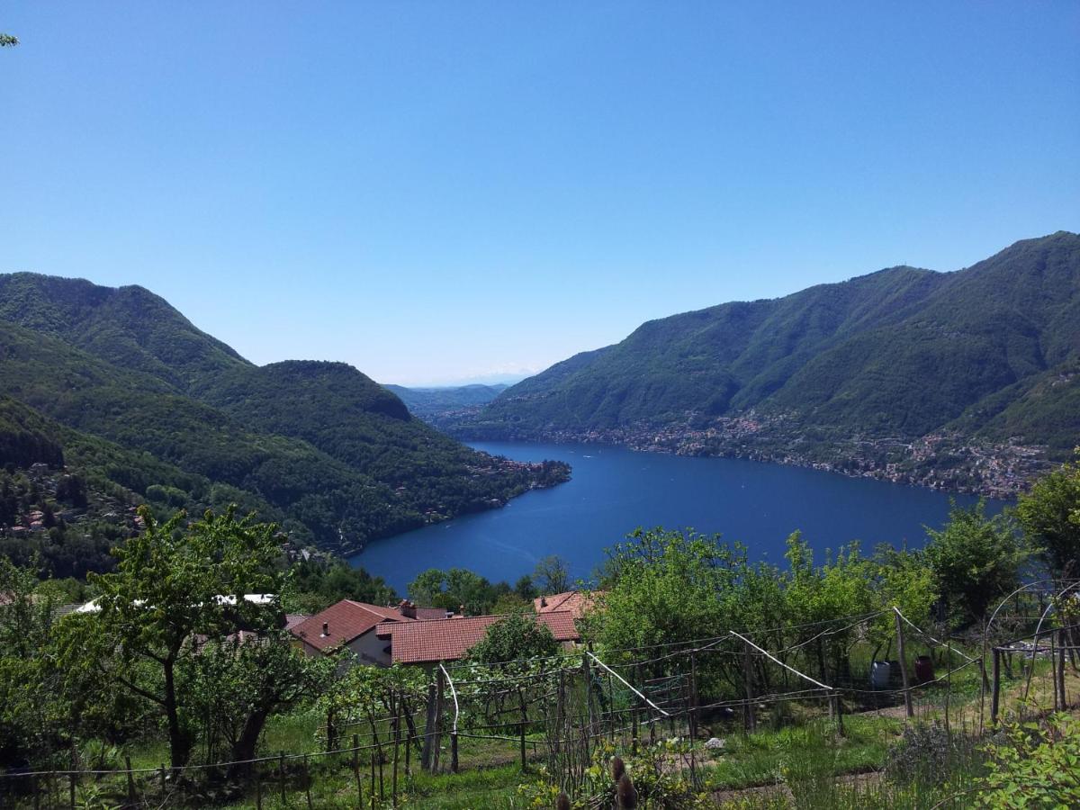 玉兰花住宿加早餐旅馆 Faggeto Lario 外观 照片
