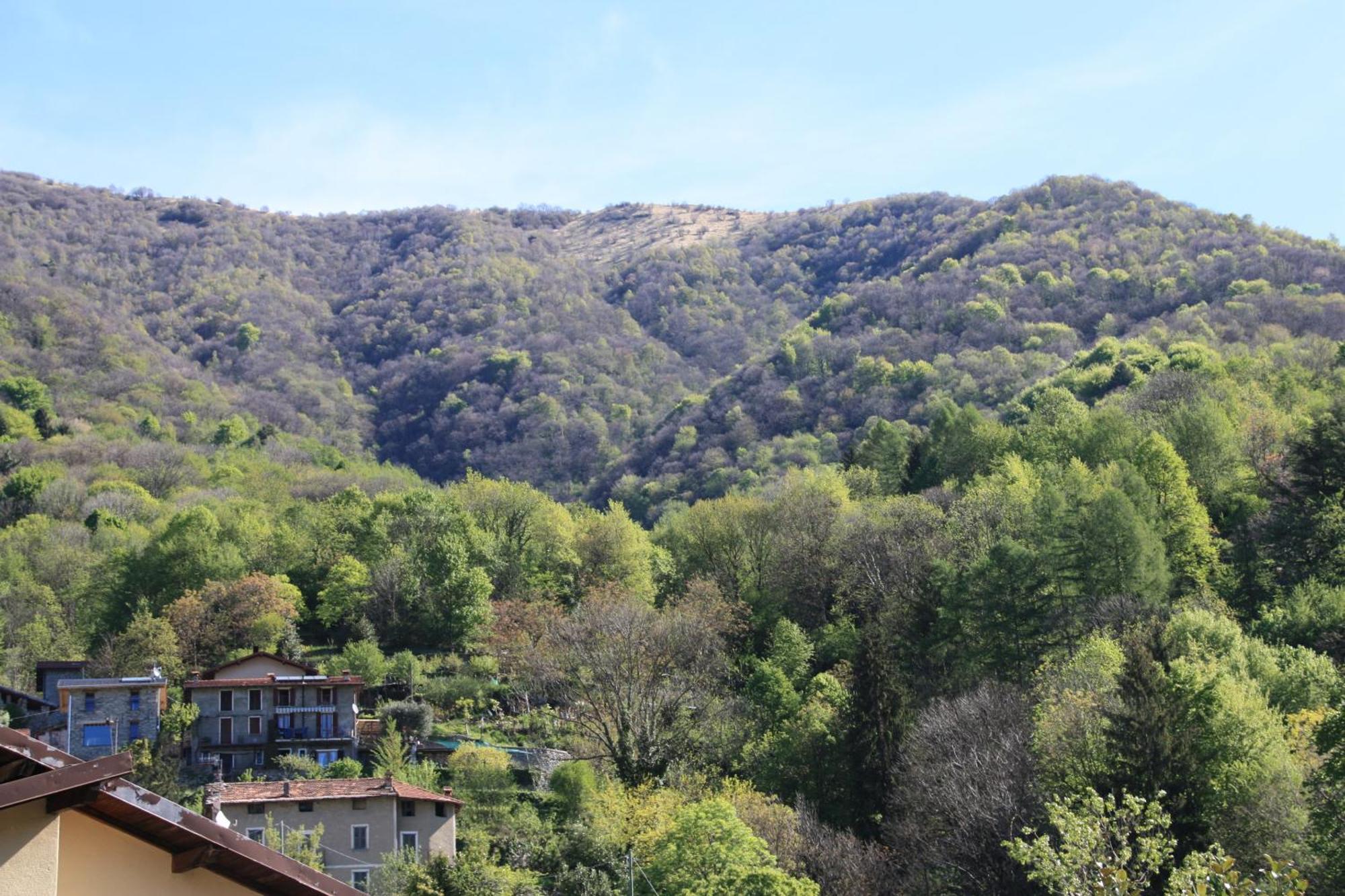 玉兰花住宿加早餐旅馆 Faggeto Lario 外观 照片