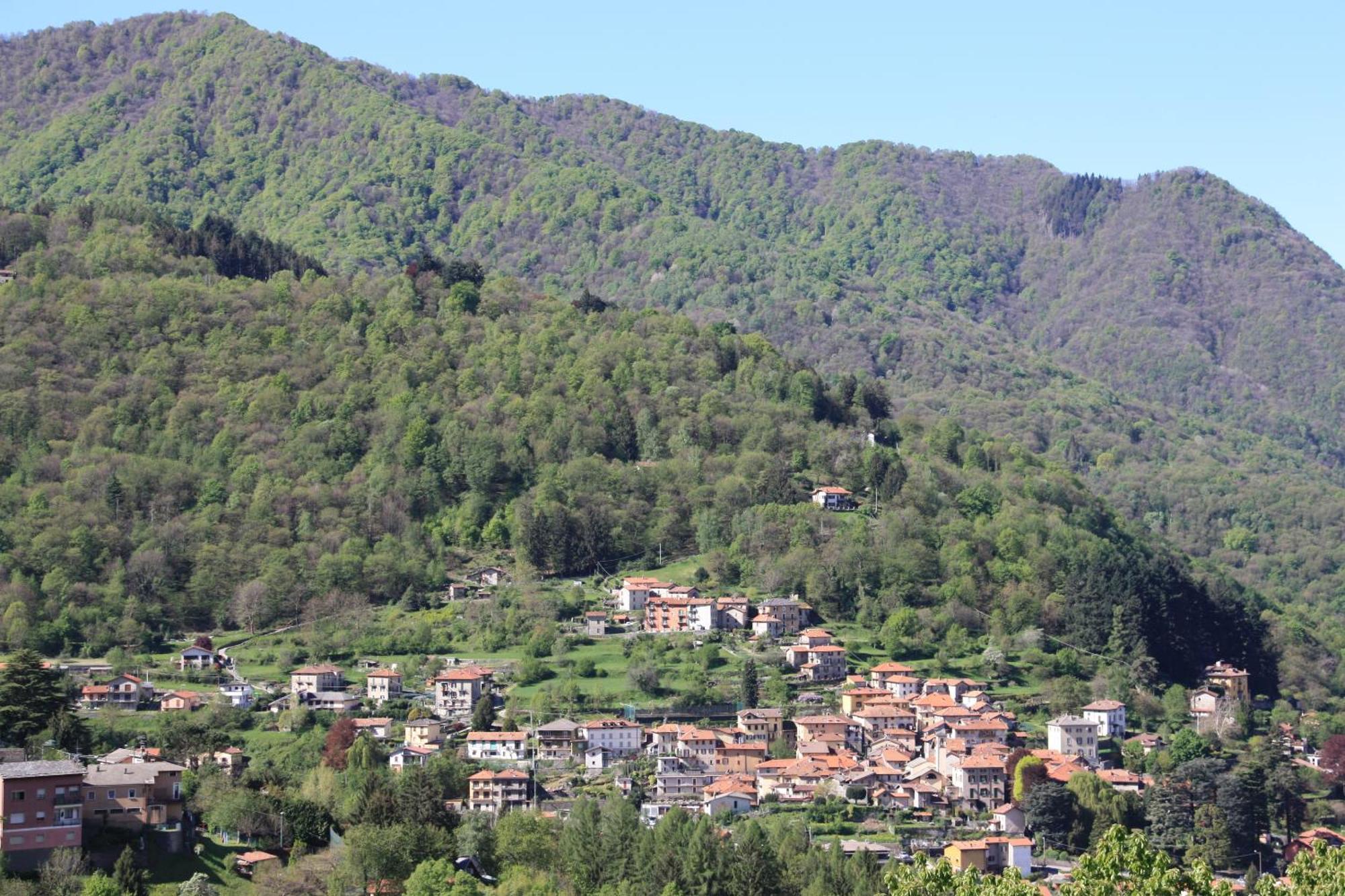 玉兰花住宿加早餐旅馆 Faggeto Lario 外观 照片